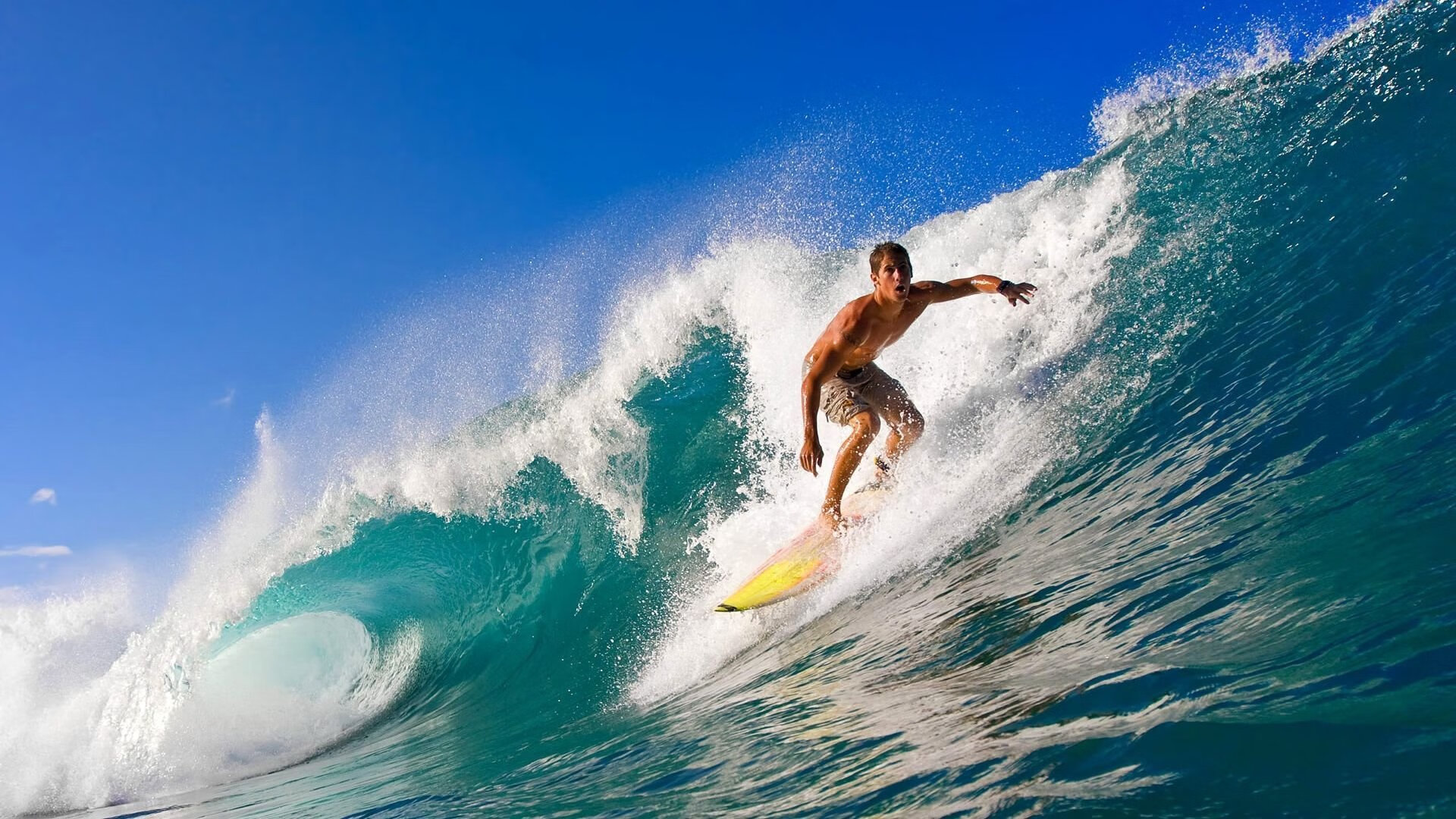 上海速度，周冠宇刷新纪录之夜，威廉姆斯险胜迈凯伦的战术博弈