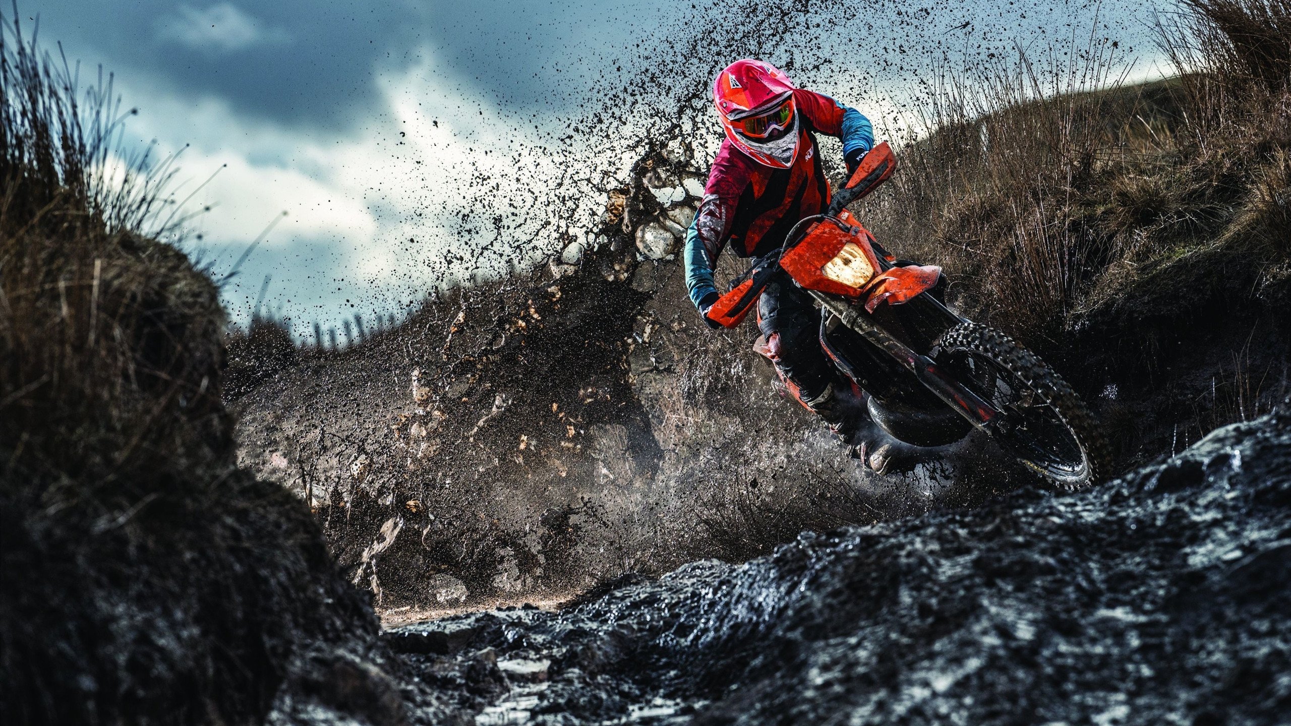 萨内闪耀安联，拜仁完胜马赛展露王者底蕴